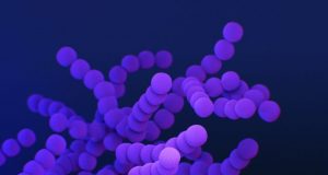 Synthetic protein quality control system in bacteria