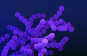 Synthetic protein quality control system in bacteria