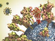 Unravelling the coronavirus structure
