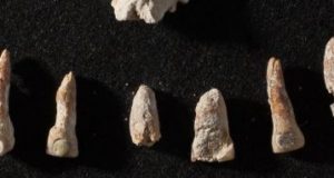 An ancient Maya ambassadors bones show a life of privilege and hardship