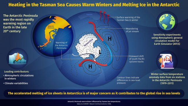 Antarctic Peninsula warming up due to heat in Tasman Sea
