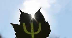 Bacteria know how to exploit quantum mechanics study finds