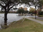 Coastal changes worsen nuisance flooding on many US shorelines, study finds Coastal changes worsen nuisance flooding on many US shorelines study finds