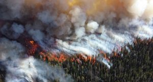 Fine particulate matter from wildfire smoke more harmful than pollution from other sources