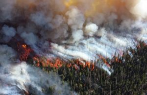 Fine particulate matter from wildfire smoke more harmful than pollution from other sources