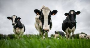 Food drives a third of global emissions