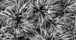 Inexpensive tin packs a big punch for the future of supercapacitors