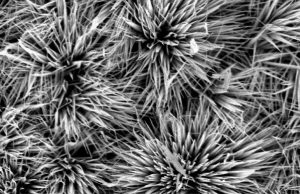 Inexpensive tin packs a big punch for the future of supercapacitors