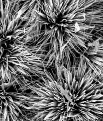 Inexpensive tin packs a big punch for the future of supercapacitors Inexpensive tin packs a big punch for the future of supercapacitors