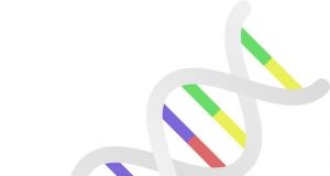 Lab one step closer to understanding how life started on Earth