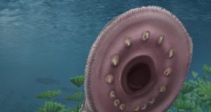 Long accepted theory of vertebrate origin upended by fossilized fish larvae