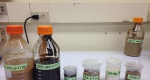 Microbes deep beneath seafloor survive on byproducts of radioactive process