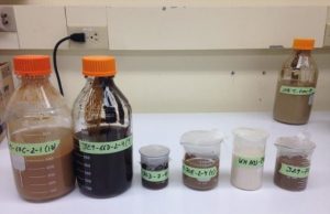 Microbes deep beneath seafloor survive on byproducts of radioactive process