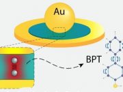 Model describes interactions between light and mechanical vibration in microcavities