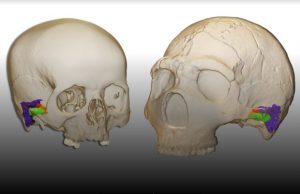 Neandertals had the capacity to perceive and produce human speech