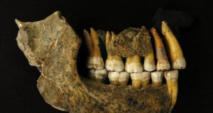 Neanderthals disappeared from Europe earlier than thought says study