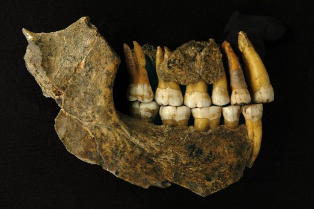 Neanderthals disappeared from Europe earlier than thought says study