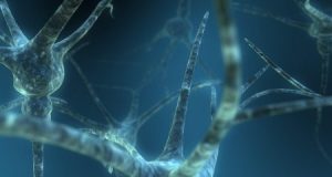 Neuroimaging reveals how ideology affects race perception