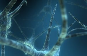 Neuroimaging reveals how ideology affects race perception