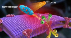 New method could shine a healing light on the brain for those with movement disorders