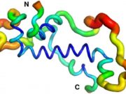New proteins out of nothing