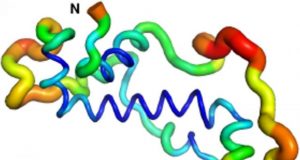 New proteins out of nothing