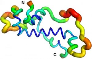 New proteins out of nothing