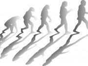 New study suggests humans evolved to run on less water than our closest primate relatives New study suggests humans evolved to run on less water than our closest primate relatives
