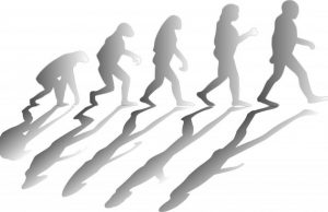 New study suggests humans evolved to run on less water than our closest primate relatives