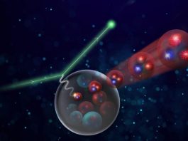 Nuclear physicists on the hunt for squeezed protons