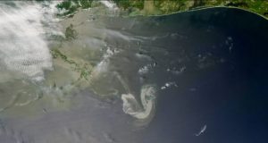 Oil in the ocean photooxidizes within hours to days new study finds