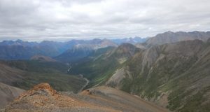 Rare fossilized algae discovered unexpectedly fill in evolutionary gaps