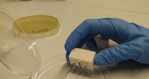 Researchers design a biological device capable of computing by printing cells on paper