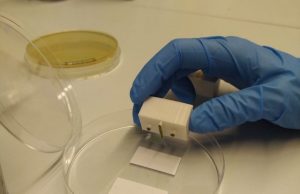 Researchers design a biological device capable of computing by printing cells on paper