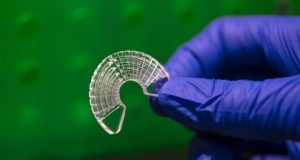 Researchers use silkworm silk to model muscle tissue