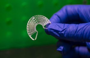 Researchers use silkworm silk to model muscle tissue