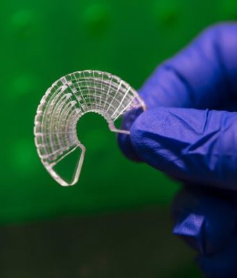 Researchers use silkworm silk to model muscle tissue