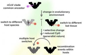 SARS CoV 2 jumped from bats to humans without much change