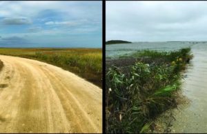 Sea level rise in 20th century was fastest in 2000 years along much of East Coast