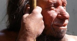 Shift in scientific consensus about demise of Neanderthals