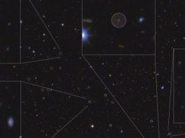 The GRANTECAN discovers the largest cluster of galaxies known in the early universe