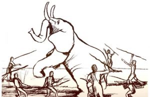 The human brain grew as a result of the extinction of large animals