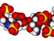 Time needed to sequence key molecules could be reduced from years to minutes