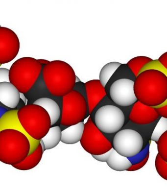 Time needed to sequence key molecules could be reduced from years to minutes