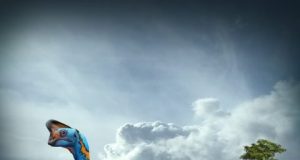 Worlds first dinosaur preserved sitting on nest of eggs with fossilized babies