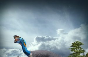 Worlds first dinosaur preserved sitting on nest of eggs with fossilized babies