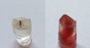 X ray microscopy reveals the outstanding craftsmanship of Siberian Iron Age textile dyers