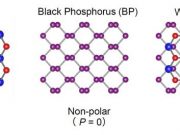 2D materials combine becoming polarized and giving rise to photovoltaic effect 1