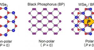 2D materials combine becoming polarized and giving rise to photovoltaic effect 1