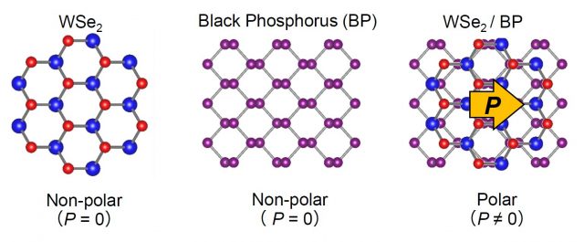 2D materials combine becoming polarized and giving rise to photovoltaic effect 1